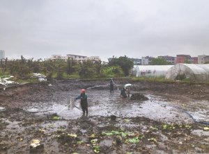 平鲁河道鱼塘清淤